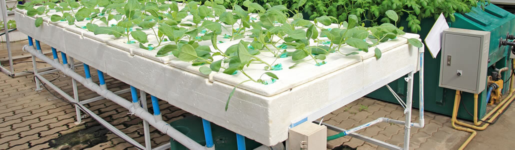 Aeroponics Verfahrensweisen