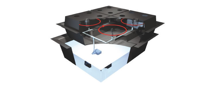 Aeroponik System