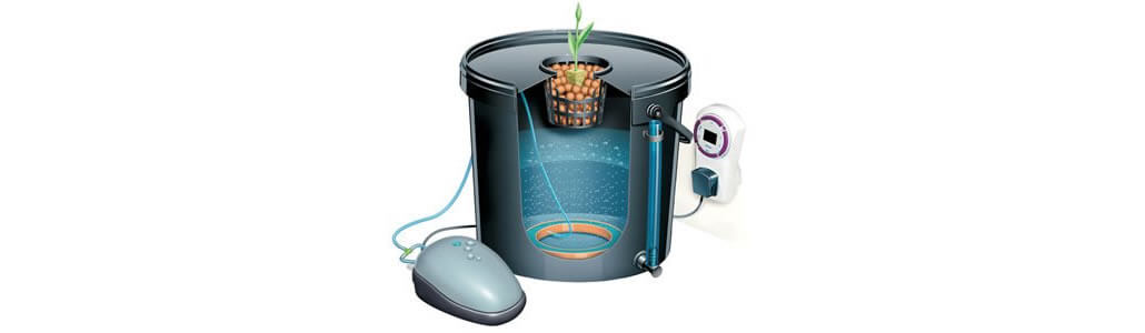 Deep Water Culture DWC