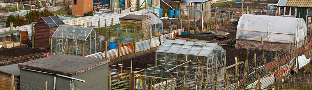 Entstehung von Urban Gardening