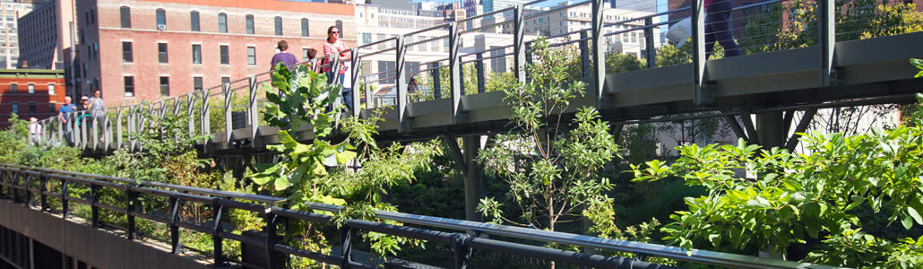 Gärtnern in der Stadt