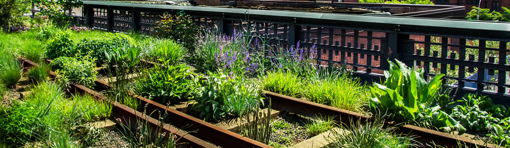 URBAN-GARDENING-Initiativen