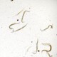 Steinernema SF-Nematoden gegen Trauermückenlarven 1 Mio. für 2 m²