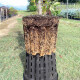 Pflanzentopf Ercole rund 7,5 L