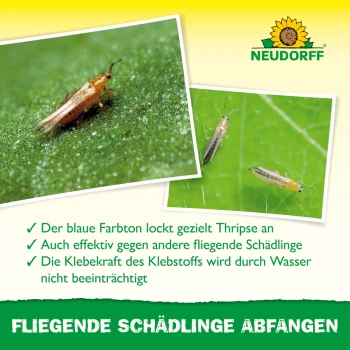 Neudorff Blau-Sticker 8 x 13 cm, 10 Stk., gegen Thripse