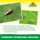 Neudorff Blau-Sticker 8 x 13 cm, 10 Stk., gegen Thripse
