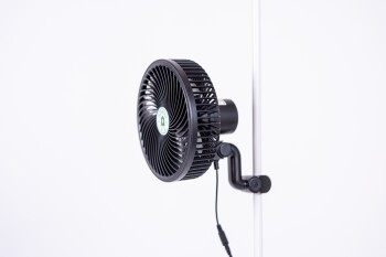 HOMEbox Air Breva EC Clip-Ventilator 206 mm, oszillierend