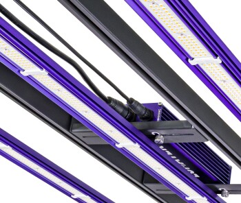B-Ware Lumatek ZEUS 300W PRO 3.1 LED Growlampe