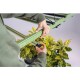 Treegers GL650W LED Growlampe Vollspektrum