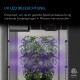 AC Infinity IONBEAM U2 UVA LED-Leisten 2er-Set mit Controller