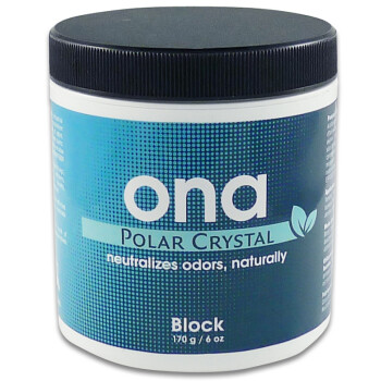 ONA Block Geruchsneutralisierer Polar Crystal 170 g