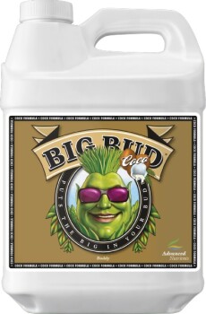 Advanced Nutrients Big Bud Coco Blütebooster 250 ml